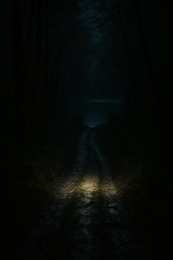 Узкая лесная тропа к реке, освещённая фонарём