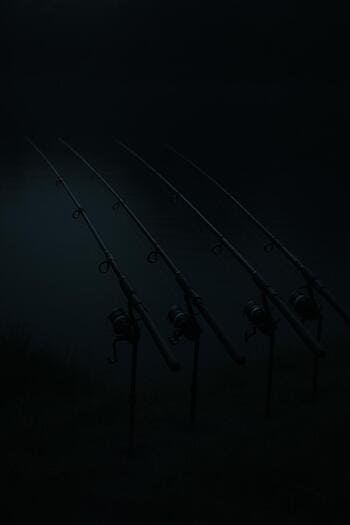 Несколько удилищ на стойках вдоль ночного берега