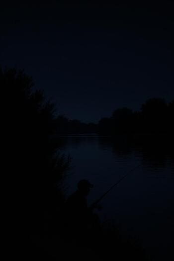 Силуэт ночного берега с кустами и гладкой водой